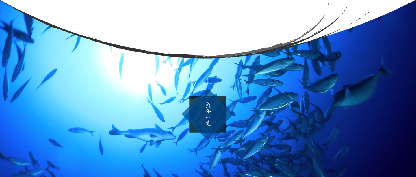 魚介一覧