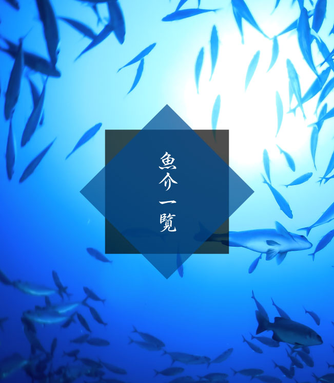 魚介一覧